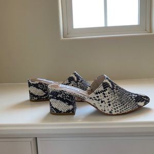 Steve Madden Snakeskin Mules